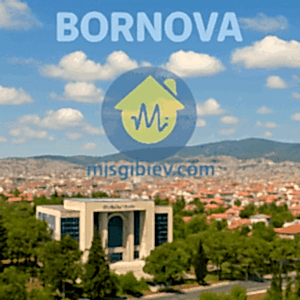 Bornova Ev Temizliği - abunode.quest