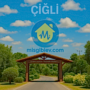 Çiğli Ev Temizliği – abunode.quest