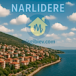 Narlıdere Ev Temizliği – abunode.quest