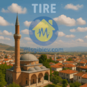 Tire Ev Temizliği – abunode.quest